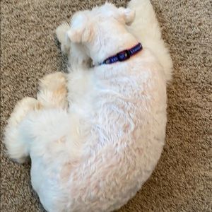 Meet your Posher, Hillary